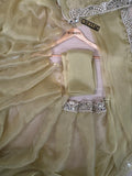 Soft olive-green saree with a delicate sheen, likely organza or chiffon.